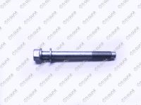 Болт с эксцентриком TG-90119-18006 * TI-GUAR